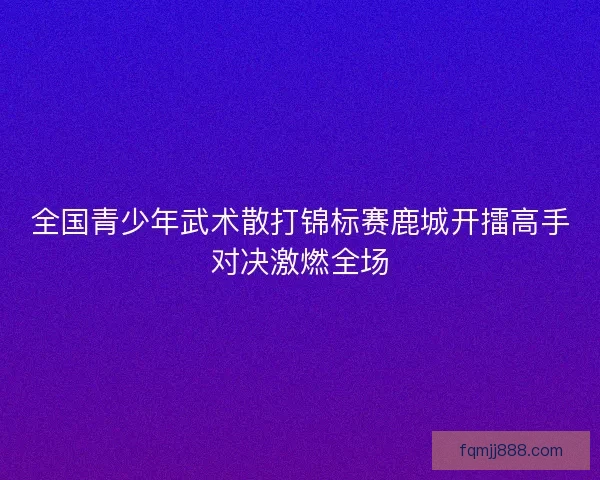 全国青少年武术散打锦标赛鹿城开擂高手对决激燃全场