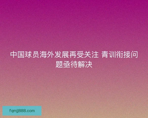 中国球员海外发展再受关注 青训衔接问题亟待解决